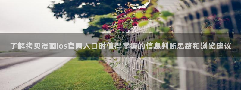 漫画岛在线免费看：了解拷贝漫画ios官网入口时值得掌握的信息判断思路和浏览建议