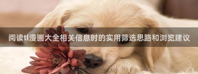 漫画岛漫画资源导航：阅读tl漫画大全相关信息时的实用筛选思路和浏览建议