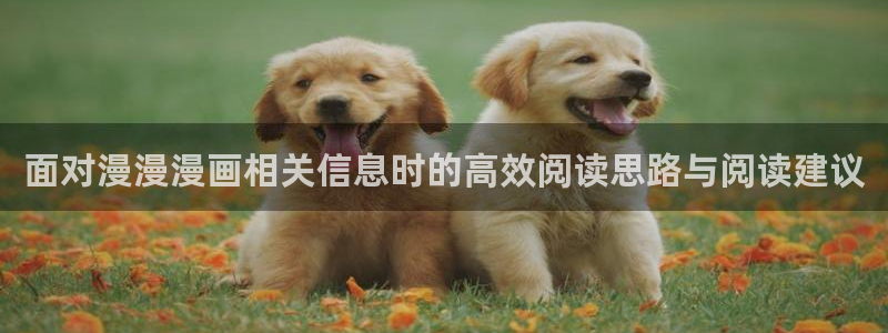 漫画岛在线阅读导航