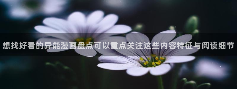 漫画岛漫画网